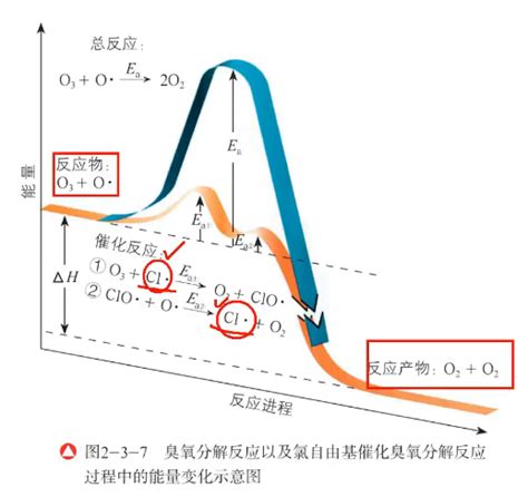 催化作用|催化剂（化学中的提高反应物的化学反应速率）